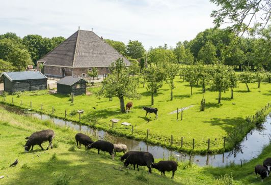 22 07 27 Foto Kinder Boerderij De Ridder Aquarel