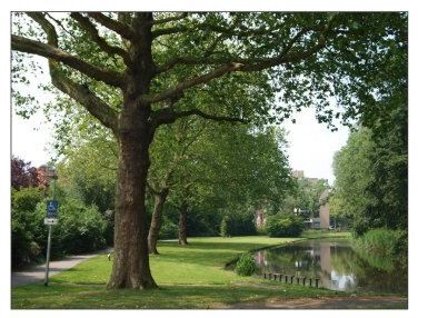 Gilde Bomenwandeling 6 mei 2023