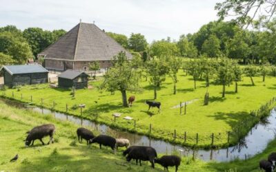 Aquarelgroep bij kinderboerderij De Ridder