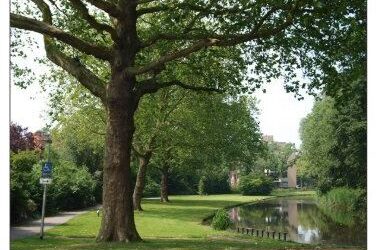 Zaterdag 4 mei 2024 Herdenkingswandeltocht